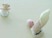 Sandra Munzel Sandra Munzel